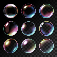 Transparent soap bubbles - obrazy, fototapety, plakaty