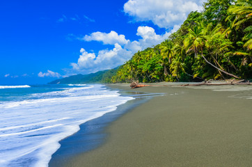 Wild beach at Corcovado Jungle in Costa Rica - obrazy, fototapety, plakaty