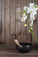 White orchid