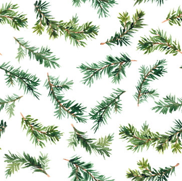 Pine tree branch. Watercolor repeat pattern 