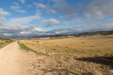 Fototapeta premium Landscape of the Camino de Santiago near Los Arcos
