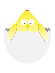 cartoon easter chicken in egg . vector funny animal illustration