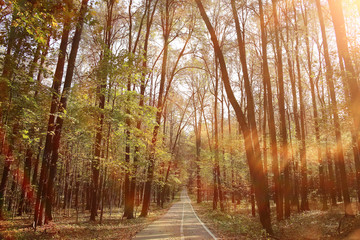 landscape background in sunny autumn park