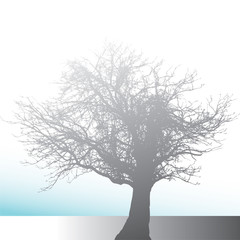 An ethereal, winter, Christmas, holiday background in blue and gray