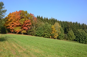 Hügellandschaft mit Herbstbäumen