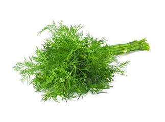 Fresh dill on white background