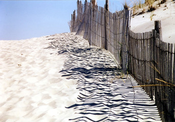 Rehoboth Beach 2000