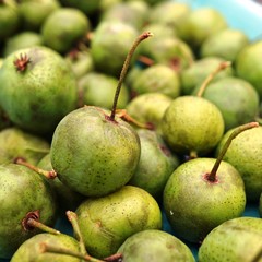 Green baby kiwi berries 