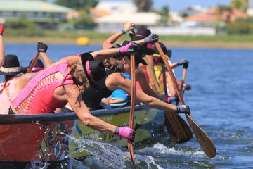 LES MAÎTRES DE LA PAGAIE 2015