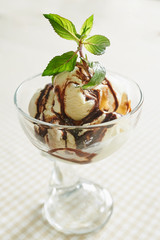 Ice cream Vanilla with Chocolate and Mint Leaf