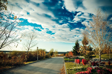 Sunset in autumn park