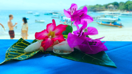 Fototapeta na wymiar Collage of shells and flowers on sunlight beach
