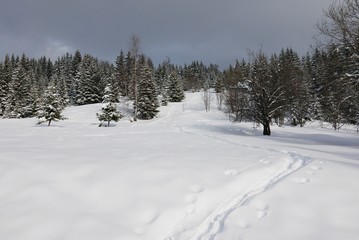 Fototapeta na wymiar traces de ski dans la neige