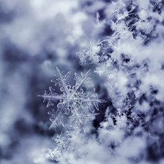 Blue Snowflake