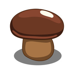 Edible mushroom vector illustration 