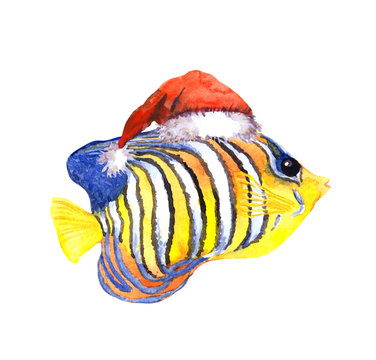 Joy character christmas exotic tropical fish in red santa's hat.