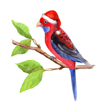 Joy character new year parrot in red santa's hat. Water colour