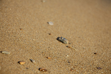 Wet sand closeup with blur, abstract background.