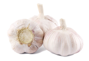 garlic on a white