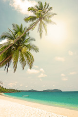 Tropical white sand with palm trees