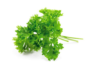 fresh green parsley on white background