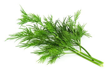 fresh dill on white background - Powered by Adobe
