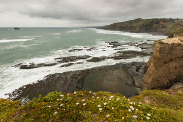 Obraz premium Waitakere Ranges coastline