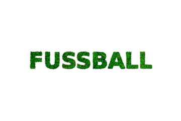 Fussballschriftzug Gras
