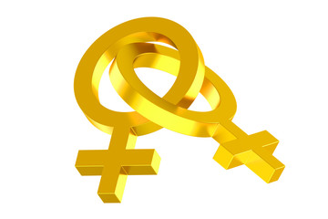 Obraz premium Lesbian Love symbols