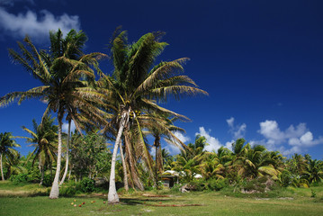 Obraz premium Tropical island of French Polynesia