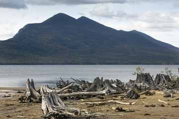 Driftwood on beach of Flagstaff Lake with the Bigelow Mountains.