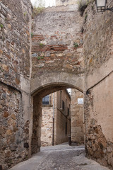 Fototapeta na wymiar Hermosas calles de la ciudad medieval de Cáceres en la comunidad de Extremadura, España