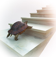 Naklejka premium moving turtle wants to climb on the stairs concept background