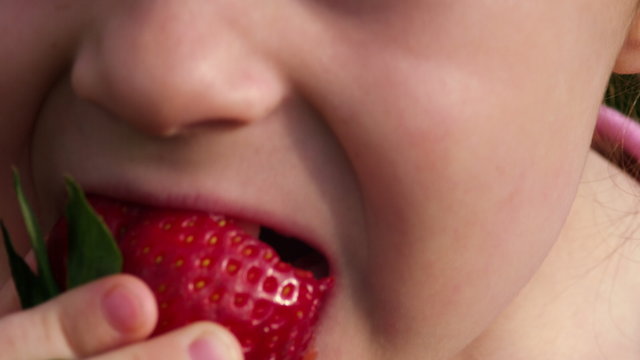 Makro: Ein kleines M&auml;dchen isst eine frische Erdbeere aus dem Garten - Teil 2