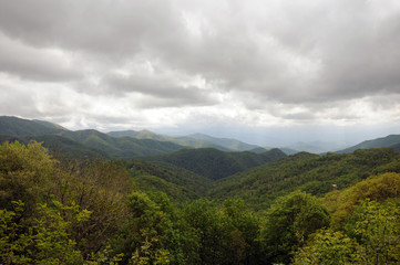 Obraz premium Smokey Mountains