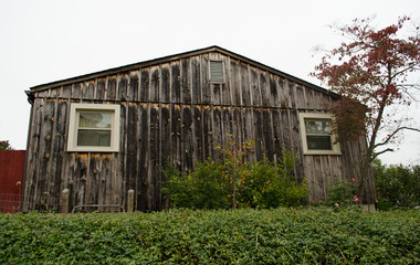 Naklejka premium Wooden house surrounded by grass