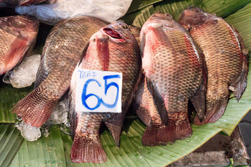 fresh tilapia fishes at the fish market, Thailand.