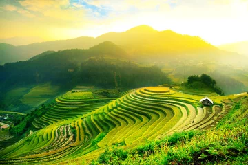 Foto op Plexiglas Rijstvelden op terrassen van Mu Cang Chai, YenBai, Vietnam. De rijstvelden bereiden de oogst voor op de landschappen van Noordwest-Vietnam.Vietnam. © vutuankhanh