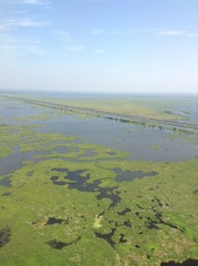 Aerial Swamp View