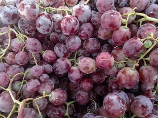 Group of Grapes