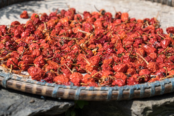 Dry Red Chillies