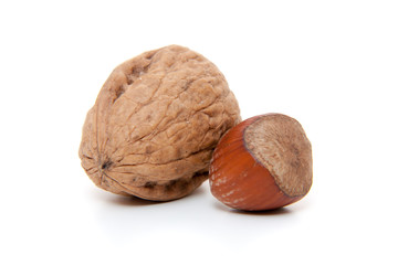 Walnuts and hazelnuts. All on white background