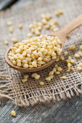 pine nuts in a wooden spoon