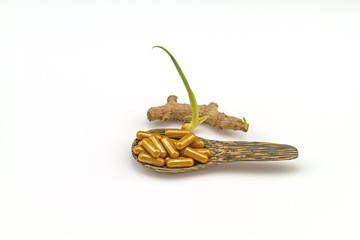 Yellow pills in wooden spoon and Fresh of Plai (Plai the name Thailand) (Zingiber cassumunar Roxb.) Zingiberaceae, Zingiber cassumunar Roxb. Zingiber purpureum Roscoe on white background