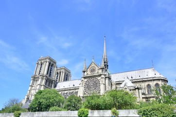 Cathedral of Notre Dame from river seine