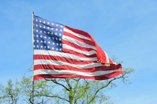 American flag with tree in background
