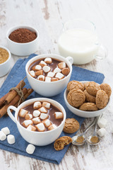 cocoa with marshmallows and almond cookies on white wooden table