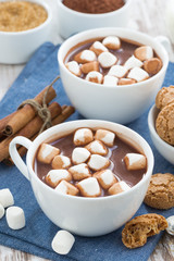 cup of cocoa with marshmallows, top view
