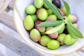 Olives de Provence