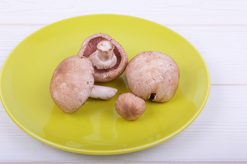 edible mushrooms on a plate and a bright white wooden background. science of mycology